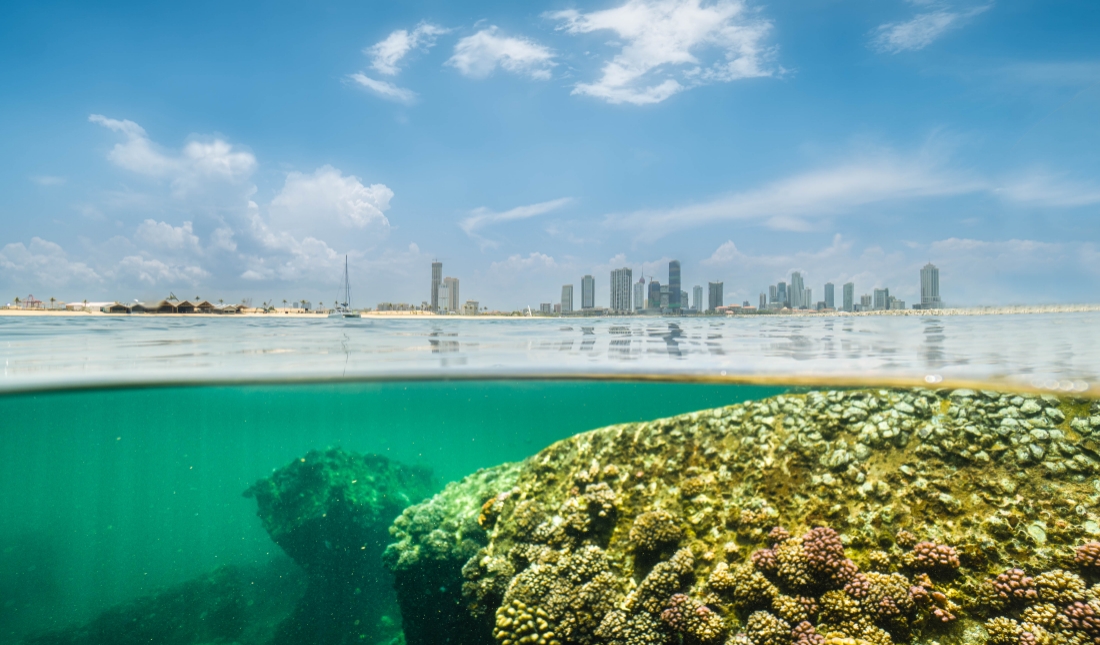 ÌÚ²©¹ÙÍø-³ÏÐÅΪ±¾,רҵ·þÎñ!