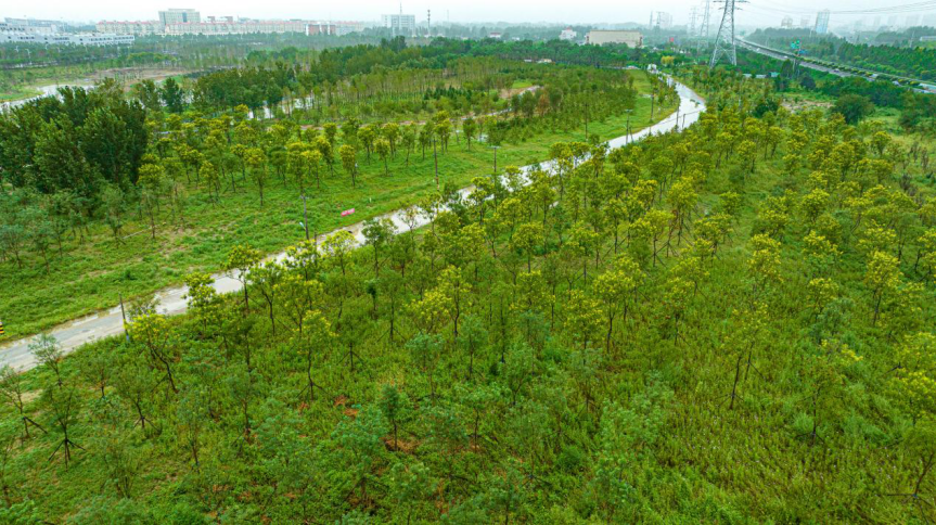 ÌÚ²©¹ÙÍø-³ÏÐÅΪ±¾,רҵ·þÎñ!